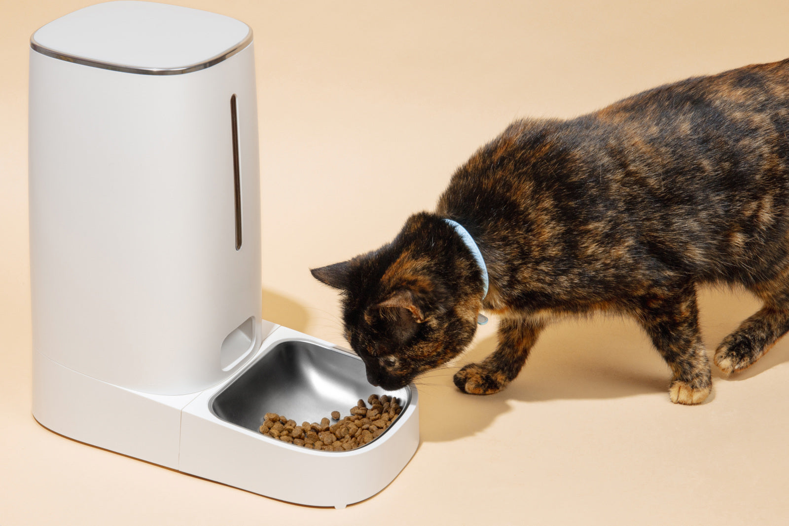 5 Gadget Tecnologici per Animali Domestici che Migliorano la Loro Vita